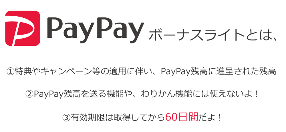 PayPayポイントライトとは