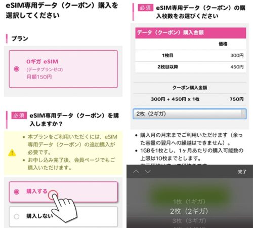 iijmioのeSIM申込み画面